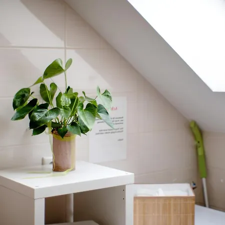 Apartamento Rosi *